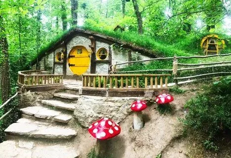 Maşukiye-Sapanca-Ormanya Turu